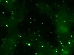 slave in prison bondage getting double penetrated, deepthroated, and gangbanged