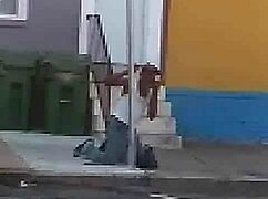 Dancing group rips clothes in night club orgy