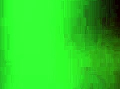 anime gay toureiro and his lover 😍