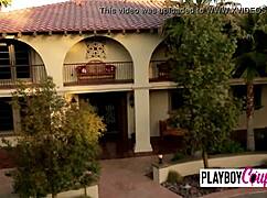 Swing and fuck in steamy orgy!