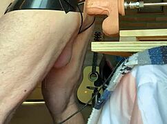 Gay Sissy Polar Bear Gets Fucked Hard Suggestively