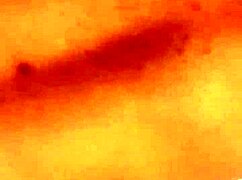 The lovers begin their first chapter together