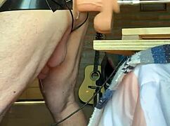 Gay Sissy Polar Bear Gets Fucked Hard Suggestively