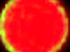 hitzefrei blonde german babe helena moeller drilled deep