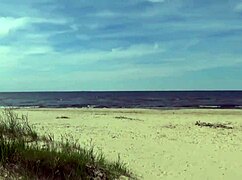 Mommy's Big Ass Fucked in Every Hole at Beach