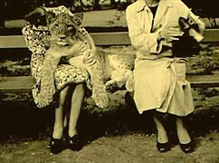 Vintage Erotic Illustration Sparks Hidden Desires