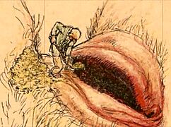 i love exploring vintage drawings from the past