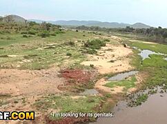 hey, can my african hottie wreck your pov pussy in the park?