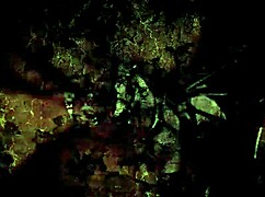 Wow! Vintage Erotic Illustration Brings Raw Heat!