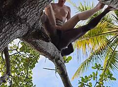 my lover fucks my ass high up in the tree