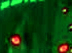 In the daily life with monster girls, episode eight unfolds