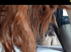 Is your hot wife a real slut during anal sex?