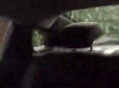 Ebony woman offers public car performance