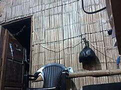 the new brunette milf performs her first sexy dance for latinos 😘