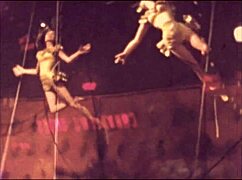 Vintage Antique Collection