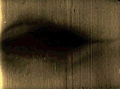 Vintage Antique Collection