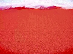 The owner asks for the room price and gets a hot fuck on his couch with rebecca lary.