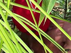 Nixie finds his perfect native doctor intriguingly