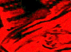 Real homemade wedding bride gets intensely fucked by her new husband in amateur passion