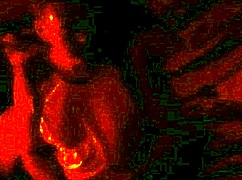 Real homemade wedding bride gets intensely fucked by her new husband in amateur passion