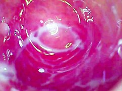 Amateur Uses Glass Dildo on Tight Pussy