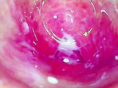 Amateur Uses Glass Dildo on Tight Pussy