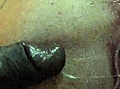 Sugar Daddy Cuckold in Old-Young Interracial Dynamic