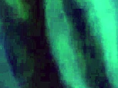 Suck The Friend's Big Dick In The Car!