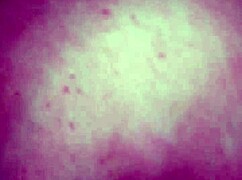 Girlfriend and ex enjoy squirting fun with friend.