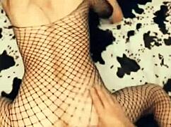 is the 40-year-old skinny wife fucking her husband's brother?