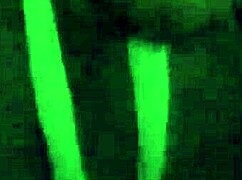 Loving That Sloppy Deepthroat From My Favorite BBW