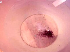 shave my hole, plz i need it now