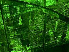 i love wearing these boxing gloves