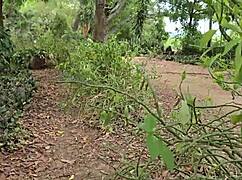 i'm camping and exploring emma anturin's wet secrets outdoors