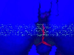 Bleu room anal solo finger fuck!