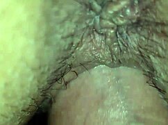 De Perrito Le Introdusco Toda La Verga