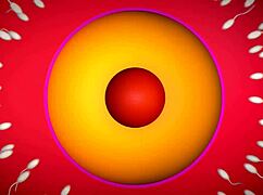 Nualia Compilation Shows Intense Anal Creampie Action