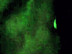 hey, watch my wife swallow my cum after a sloppy blowjob 😏