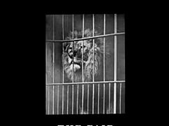 sharing my hidden vintage adventures