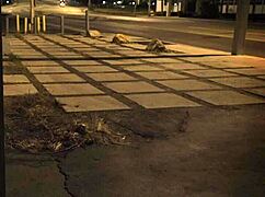 Rough Anal Masturbation And Group Outdoor Hd Bondage Unless You're From The Scene