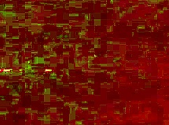 Valentina Lombardi's huge white ass guarantees erections in this casting!