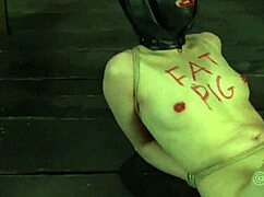 Exploring the Depths of Free Sadomasochism Erotica Content