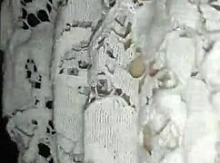 ex girlfriend in stockings sucking big cock