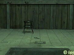 Want to see tied up tits with toy?