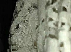 ex girlfriend in stockings sucking big cock