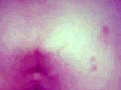 Black bulls bunny ravishing Ray Main bunny 😏