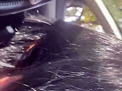 MilfyCalla Needs Intense Ride