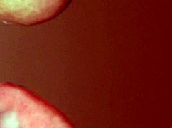 Japanese Amateur Gets Cum in Mouth and Facial Close-Up