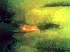 Kandy Kane: Sri Lankan Housewife Shares Her Daily Life