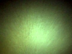 Love Living Life Wingerlife